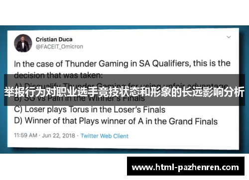 举报行为对职业选手竞技状态和形象的长远影响分析
