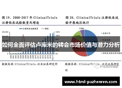 如何全面评估卢库米的转会市场价值与潜力分析