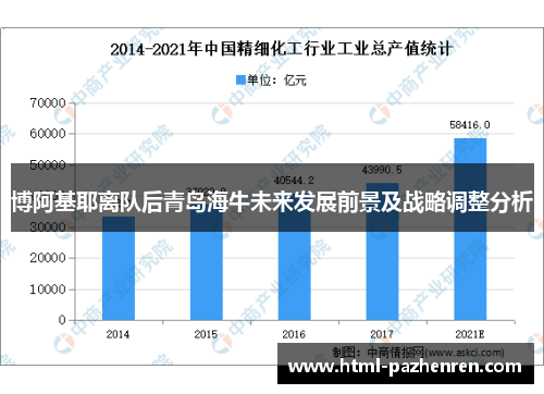 博阿基耶离队后青岛海牛未来发展前景及战略调整分析