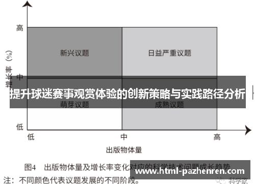 提升球迷赛事观赏体验的创新策略与实践路径分析