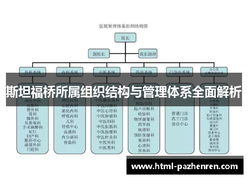斯坦福桥所属组织结构与管理体系全面解析