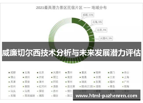 威廉切尔西技术分析与未来发展潜力评估
