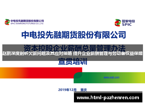 赵鹏深度剖析欠薪问题及其应对策略 提升企业薪酬管理与劳动者权益保障