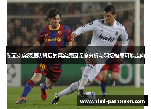 陶菲克突然退队背后的真实原因深度分析与羽坛格局可能走向 陶菲克突然退队背后的真实原因深度分析与羽坛格局可能走向