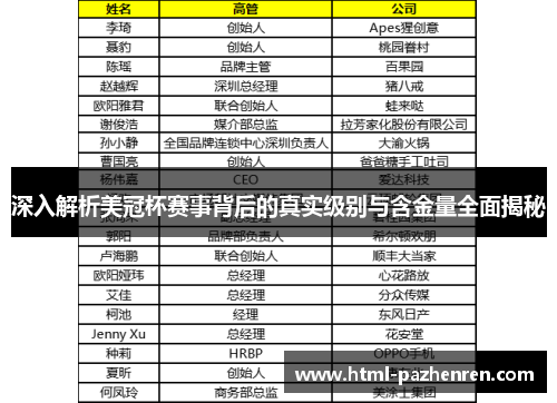 深入解析美冠杯赛事背后的真实级别与含金量全面揭秘