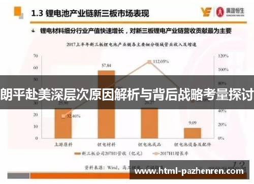 朗平赴美深层次原因解析与背后战略考量探讨